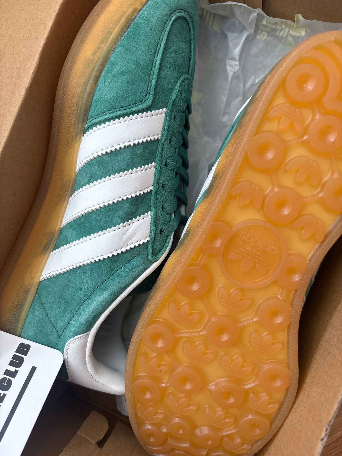 In Stock Gazelle’s (Uk 6)